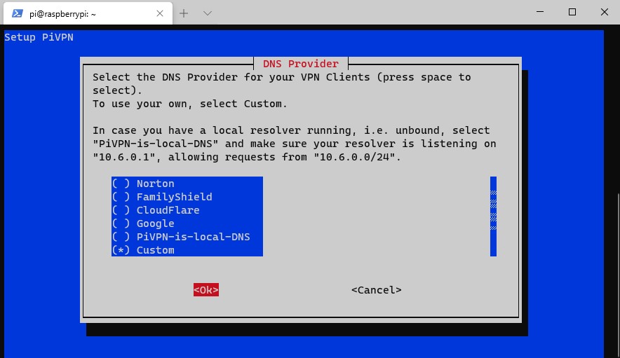 wireguard raspberry pi - selecting a dns provider in pivpn