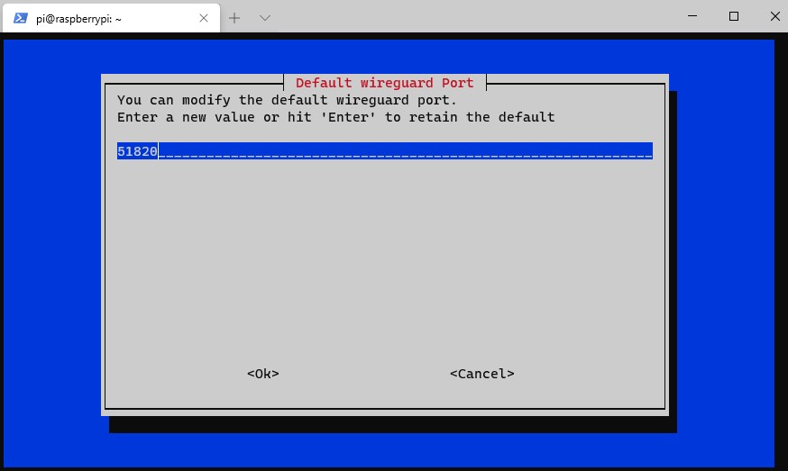 wireguard raspberry pi - using port 51820 for wireguard