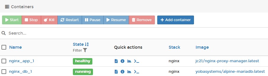 nginx proxy manager raspberry pi - status in portainer shows as healthy