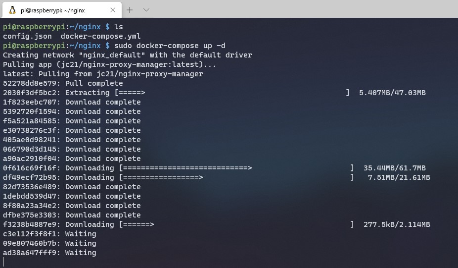 nginx proxy manager raspberry pi - showing container downloading