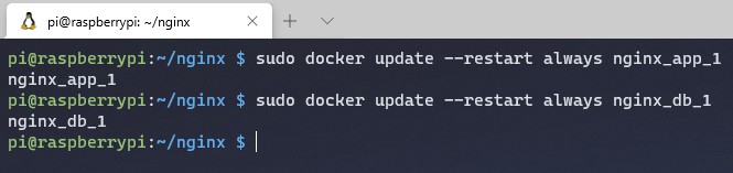 restarting nginx proxy manager container
