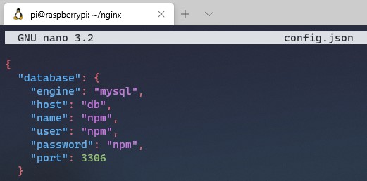 nginx proxy manager raspberry - adding information to config file