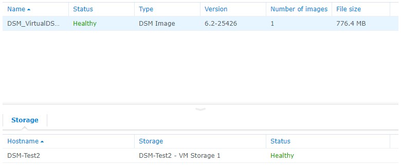 virtual dsm install showing healthy