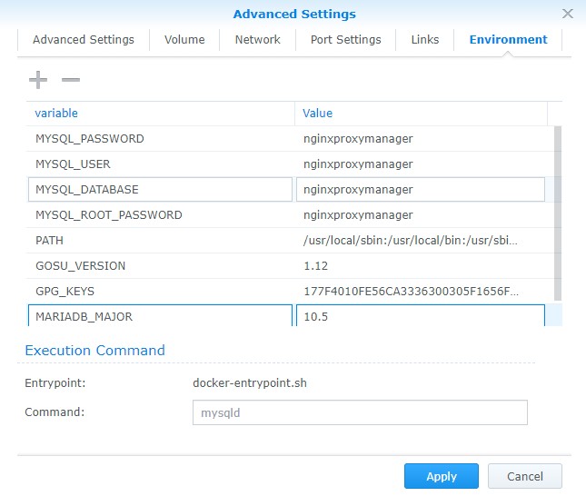 nginx proxy manager environment variables