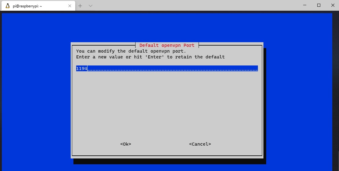 openvpn raspberry pi - port settings