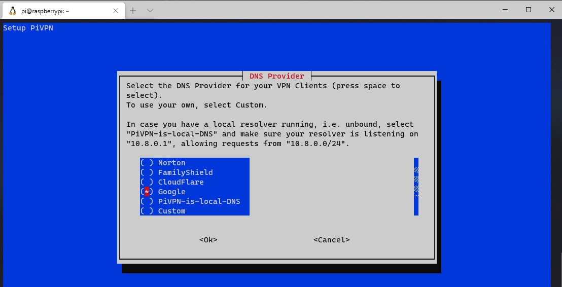 openvpn raspberry pi - upstream dns server