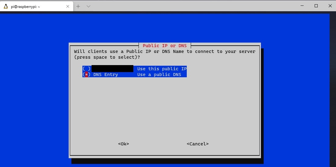 openvpn raspberry pi - dns or ip address configuration