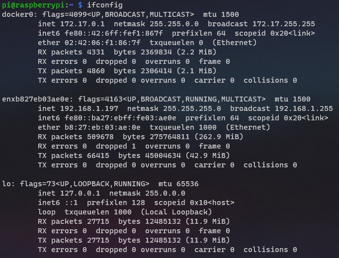 viewing the ip addresses in terminal for the raspberry pi