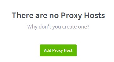 bitwarden raspberry pi - nginx proxy manager hosts