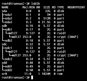 viewing the data on truenas running the lsblk command.