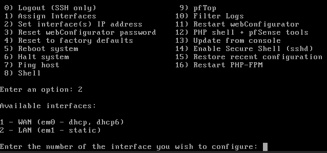 setting interface ip addresses in proxmox.