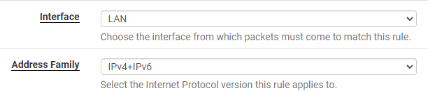 selecing IPv4 and IPv6 for the LAN interface.