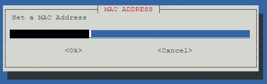 confirming the mac address in proxmox.