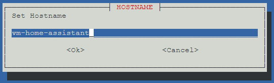 creating a VM hostname.