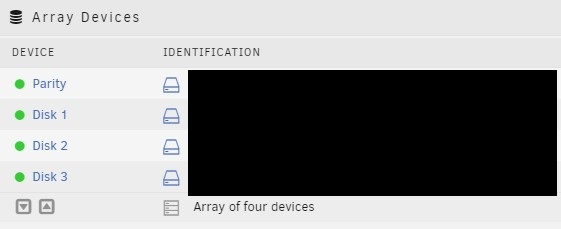 viewing the array of disks in unraid.