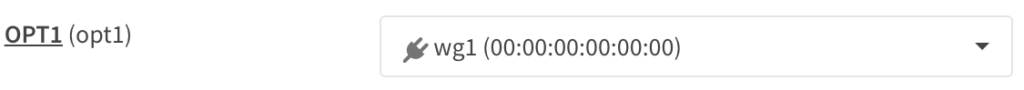 editing the OPT1 interface name.