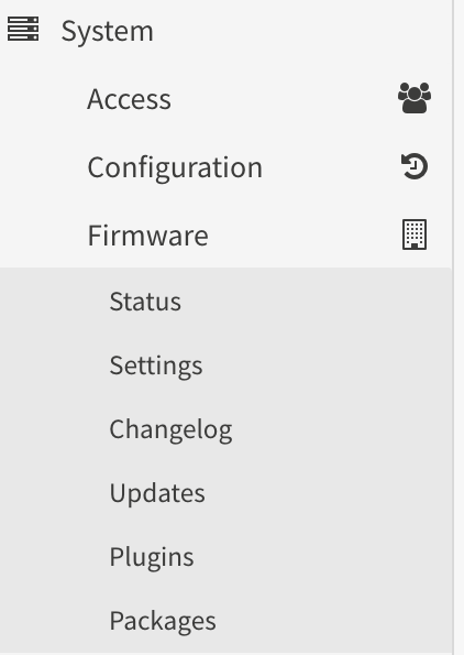 displaying the system tab in opnsense.