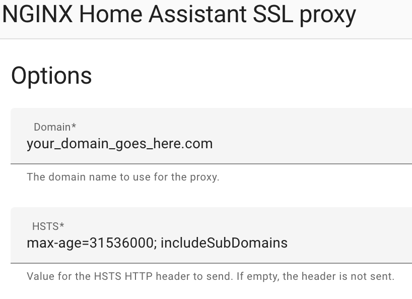 configuring the domain in nginx.