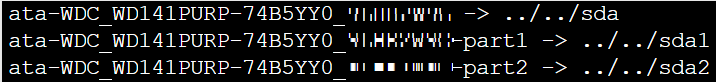 full path that will be included in the command to add the disk to the VM.