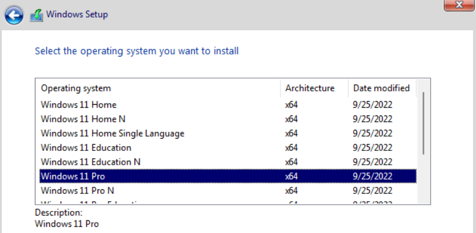 windows version selection.