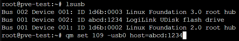 lsusb output showing the plugged in USB.