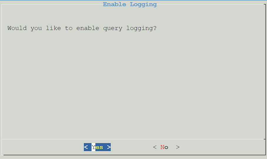 query logging in pi-hole