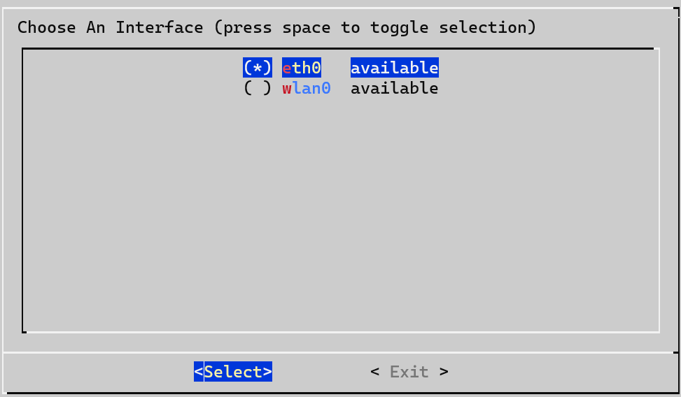 pi-hole interface selection.