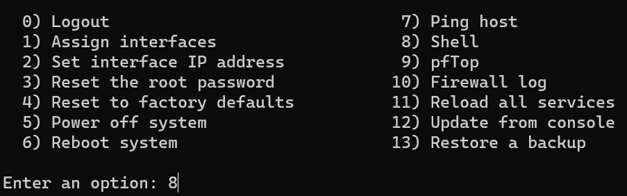 accessing the shell in OPNsense.