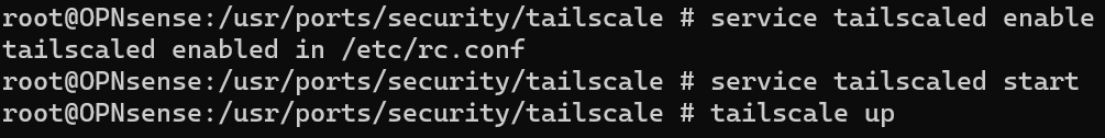 bringing up the tailscale server.