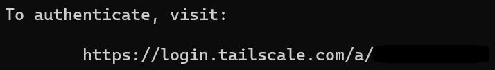 accessing the webpage to connect tailscale.