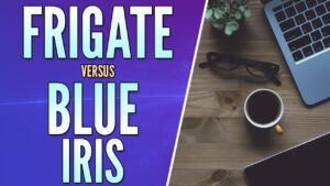 Read more about the article Frigate vs. Blue Iris
