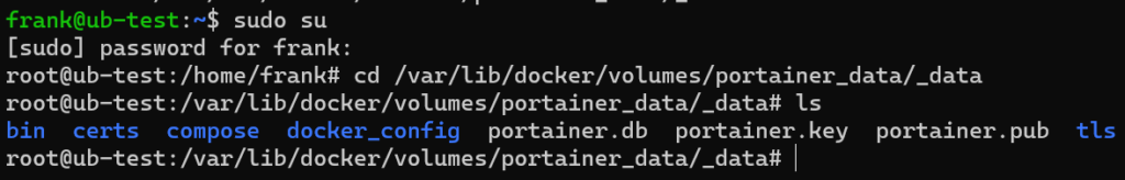 accessing the docker volume.