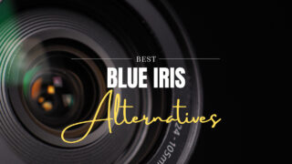 What is the Best Blue Iris Alternative?
