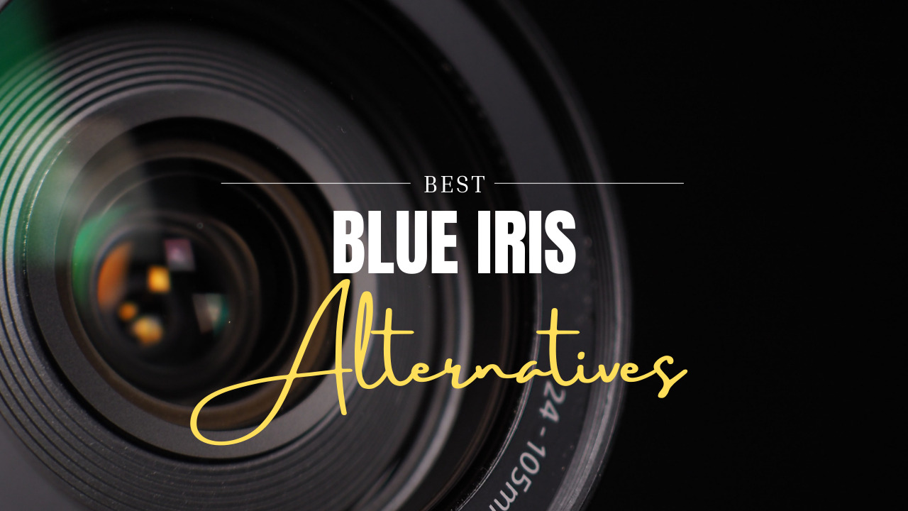 Read more about the article What is the Best Blue Iris Alternative?