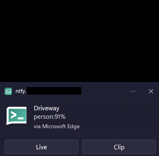 browser-based blue iris motion notification
